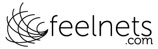 logo de l'entreprise feelnets